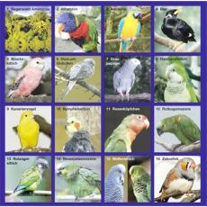 CD Exotische Vogelwelt Edition 1