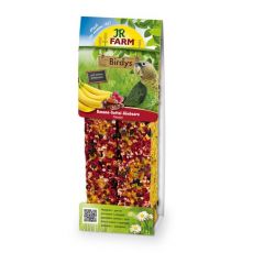 JR Birdys Pap Banane-Dattel-Himbeere 260 g