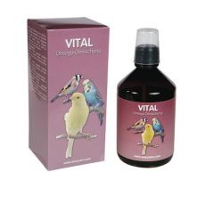 easyyem Vital Omega Ölmischung Inhalt 100 ml