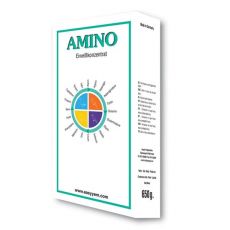 easyyem Amino Inhalt 650 g