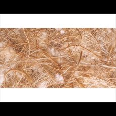 Kokos-Sisal-Jute-Baumwolle 100g