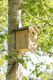 Nistkasten für kleine Höhlenbrüter