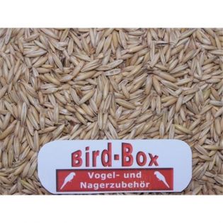 Bird-Box Derby-Hafer Inhalt  5 kg
