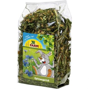 JR Spitzwegerich 100 g