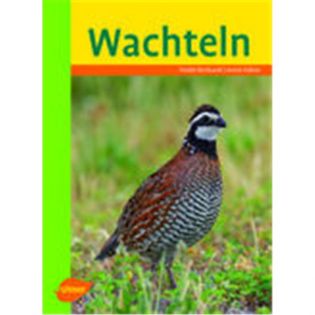 Wachteln, Bernhardt/Kühne - Verlag Ulmer