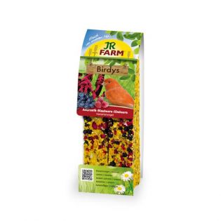 JR Birdys Kan Amaranth-Blaubeere-Himbeere 130 g