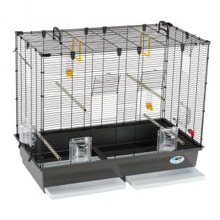 CAGE PIANO 6 BLACK