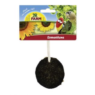 JR Birds Sonnenblume 30 g